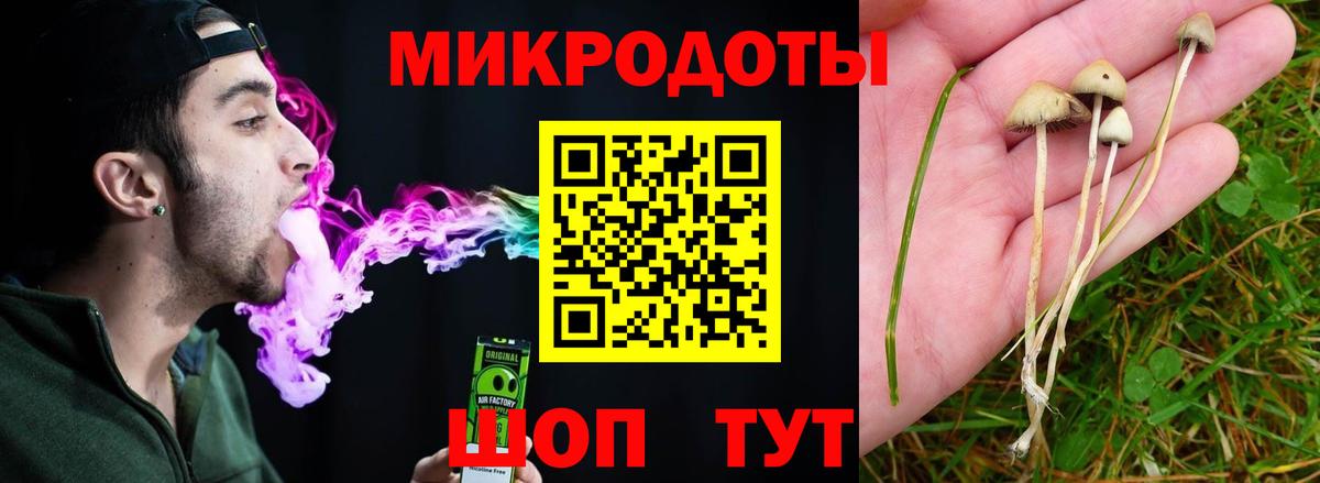 Гулькевичи  хочу   Вход с VPN  Псилоцибиновые грибы мухоморы  Галлюциногенные грибы MAGIC MUSHROOMS 
